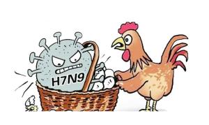 揭秘H7N9病毒，了解它的起源、特性與影響，H7N9病毒揭秘，起源、特性與影響全解析