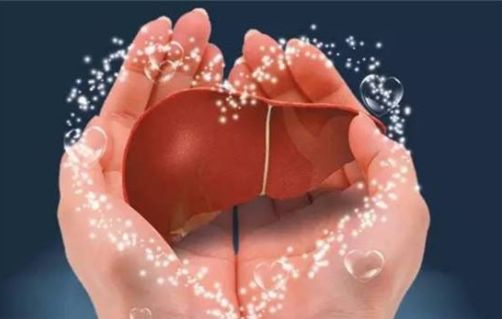 肝損傷恢復(fù)時(shí)間解析，多久能夠重返健康？，肝損傷恢復(fù)時(shí)間詳解，多久可重返健康生活？