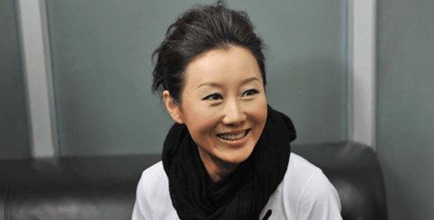 孫楠老婆潘蔚資料大全，孫楠妻子潘蔚資料概覽