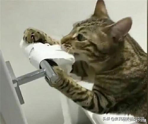 腹瀉拉稀水是什么原因，全面解析常見原因與應(yīng)對(duì)之策，腹瀉拉稀水的原因及應(yīng)對(duì)之策全面解析