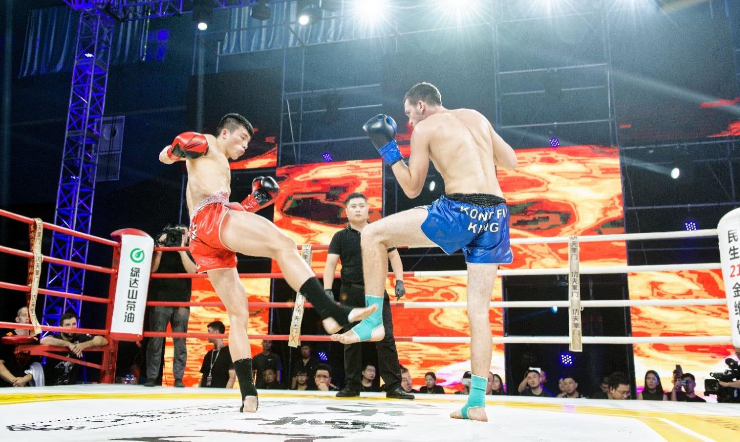 王中王欲錢(qián)一句猜一肖——探尋生肖之謎，王中王欲錢(qián)揭秘生肖之謎，探尋生肖的奧秘