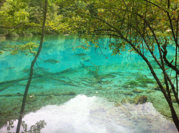 揭秘最佳旅游季節(jié)，幾月份去九寨溝旅游最好？，揭秘最佳旅游季節(jié)，揭秘幾月份去九寨溝旅游最佳體驗(yàn)？
