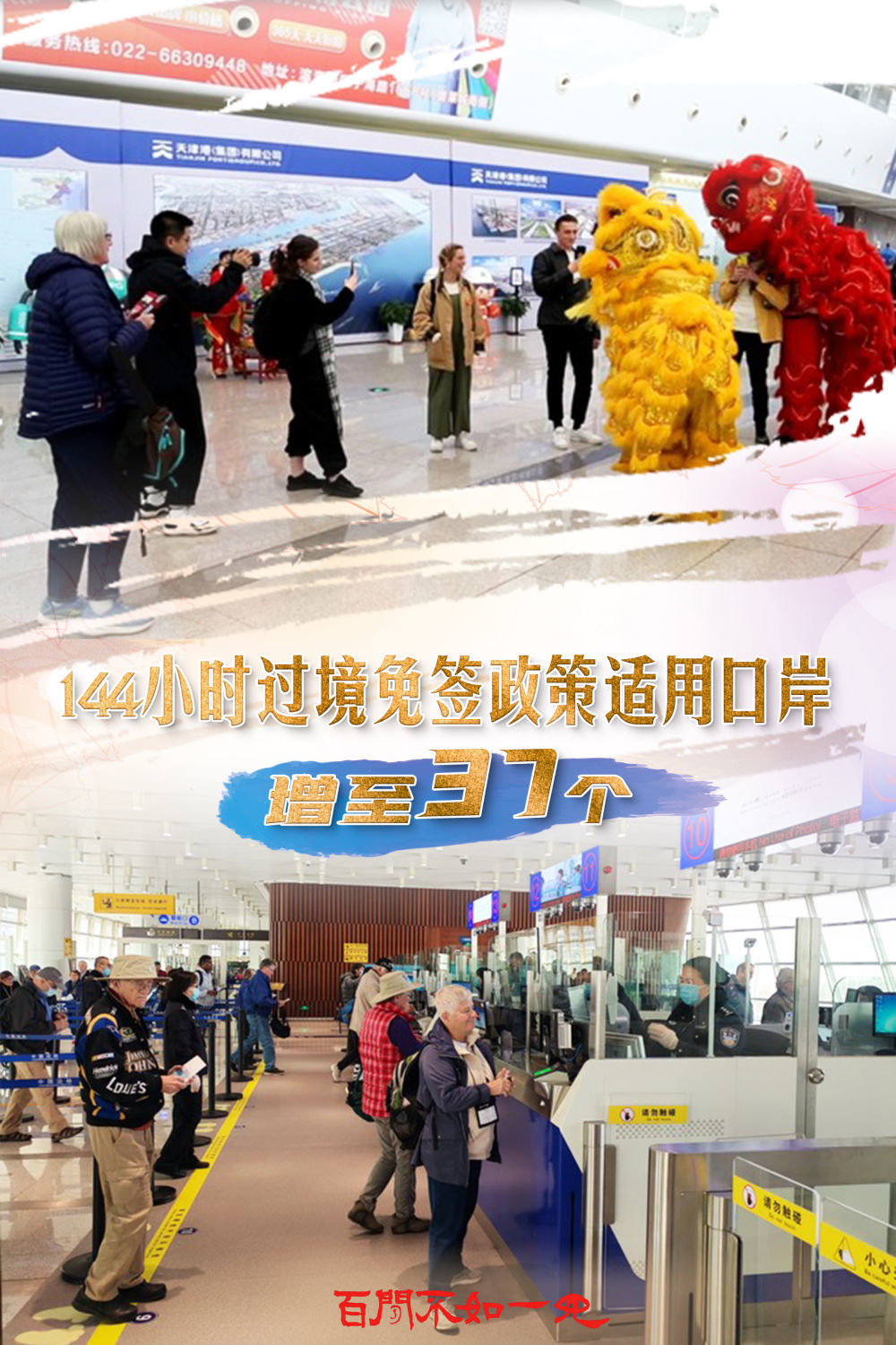 澳門王中王，揭秘一肖一特一中奧秘，澳門王中王揭秘生肖秘密，一肖一特一中奧秘探秘