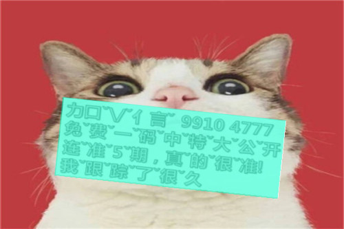 一肖啥意思，深度解析與SEO優(yōu)化文章，一肖含義深度解析與SEO優(yōu)化策略探討