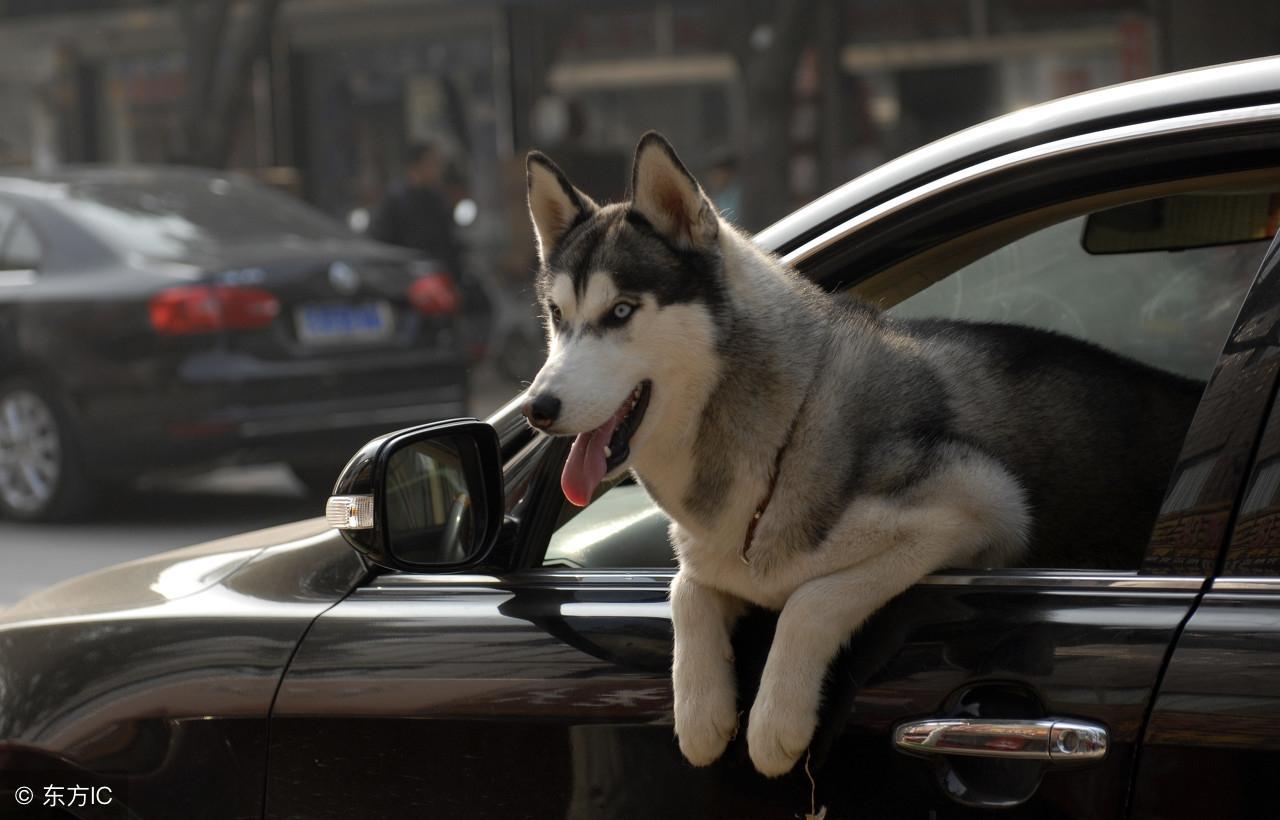 今晚九點三十分特馬開彩盛宴，揭秘彩票背后的秘密！，揭秘彩票背后的秘密，今晚九點三十分特馬開彩盛宴！