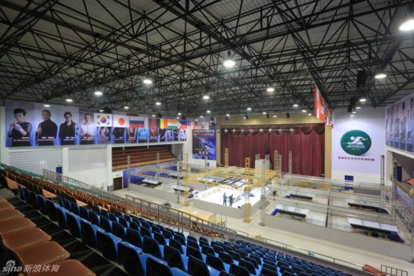 王中王一肖一馬，揭秘免費(fèi)中特之秘，揭秘王中王一肖一馬，免費(fèi)中特背后的秘密