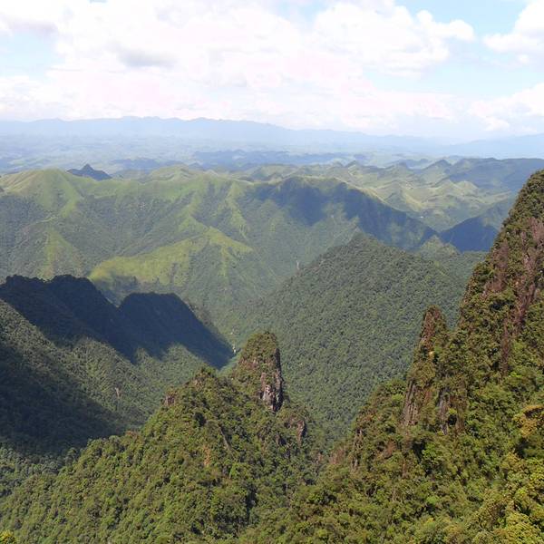 莽山國(guó)家森林公園門票指南，探索自然之美的通行證，莽山國(guó)家森林公園門票指南，探索自然之美的通行證攻略