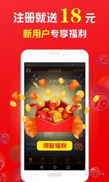 關(guān)于王中王中特免費(fèi)一肖的探討，王中王中特免費(fèi)一肖，深度探討與解析