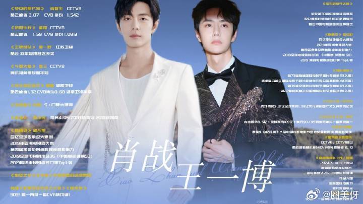 王中王一肖資料詳解，王中王一肖資料大全解析