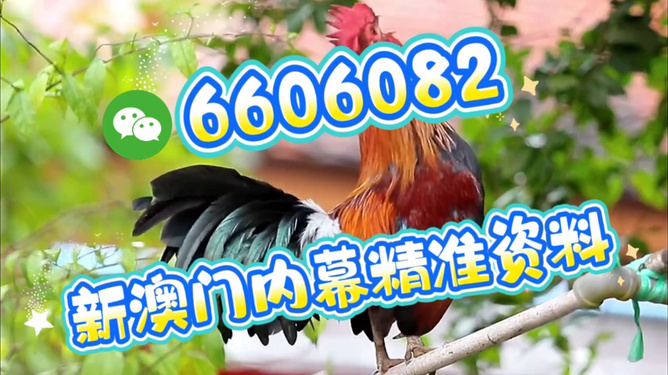 澳門特馬今天開獎(jiǎng)結(jié)果，揭秘彩票背后的秘密，澳門特馬今天開獎(jiǎng)結(jié)果揭秘，彩票背后的秘密大揭曉