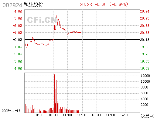 關于股票002824的全面解析與前景展望，股票002824深度解析與未來展望