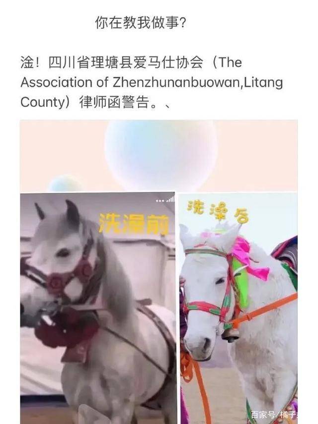 一馬爆特圖，揭秘背后的故事與SEO優(yōu)化策略，揭秘一馬爆特圖的背后故事與SEO優(yōu)化策略全攻略