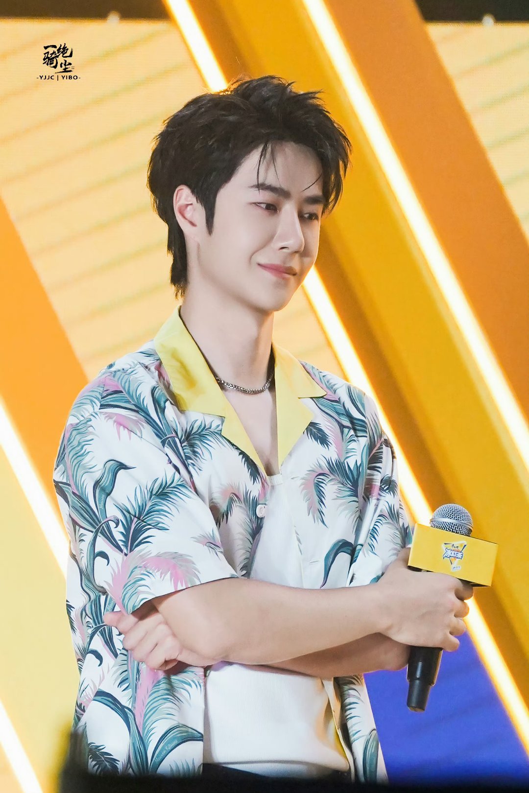 王中王一肖中特家婆，深度解讀背后的故事與奧秘，王中王一肖背后的故事與奧秘深度解讀