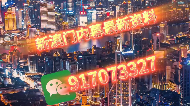 澳門今晚必開一肖——揭秘生肖彩票的魅力與策略，澳門生肖彩票揭秘，策略與魅力探索