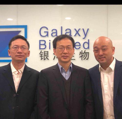 關(guān)于代碼000806的奧秘，深度解析與SEO優(yōu)化策略，代碼000806奧秘揭秘，深度解析與SEO優(yōu)化策略探討