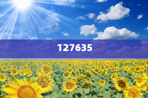 7777788888精準(zhǔn)新傳真，掌握核心策略，提升SEO效果，掌握精準(zhǔn)新傳真核心策略，提升SEO效果