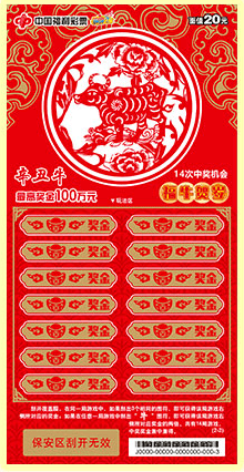 揭秘2020王中王平特一肖的神秘面紗，揭秘王中王平特一肖，神秘面紗下的真相