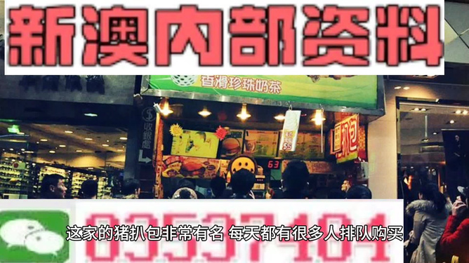 新澳天天開彩資料大全，全面解析與SEO優(yōu)化策略，新澳天天開彩資料大全及全面解析與SEO優(yōu)化策略指南