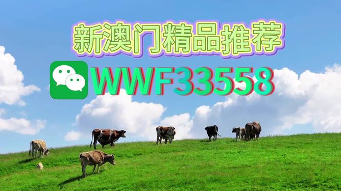 揭秘今晚9點(diǎn)30生肖運(yùn)勢(shì)，你的生肖運(yùn)勢(shì)如何？，揭秘今晚9點(diǎn)30生肖運(yùn)勢(shì)，你的生肖運(yùn)勢(shì)走向如何？