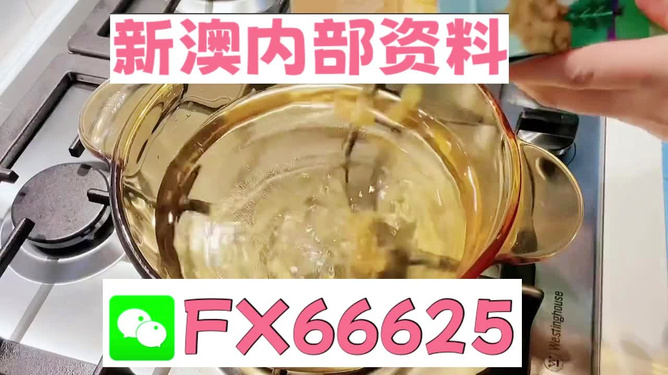 新澳一碼料，深度解析與SEO優(yōu)化策略，新澳一碼料深度解析與SEO優(yōu)化策略指南