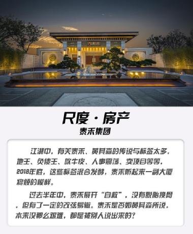 泰禾集團(tuán)股吧，深度解析與前景展望，泰禾集團(tuán)股吧，深度解析及前景展望