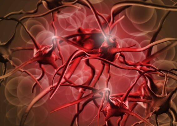 高血脂的五個(gè)表現(xiàn)癥狀及其重要性，了解、預(yù)防與治療，高血脂的五大表現(xiàn)癥狀，認(rèn)識(shí)、預(yù)防與治療的重要性