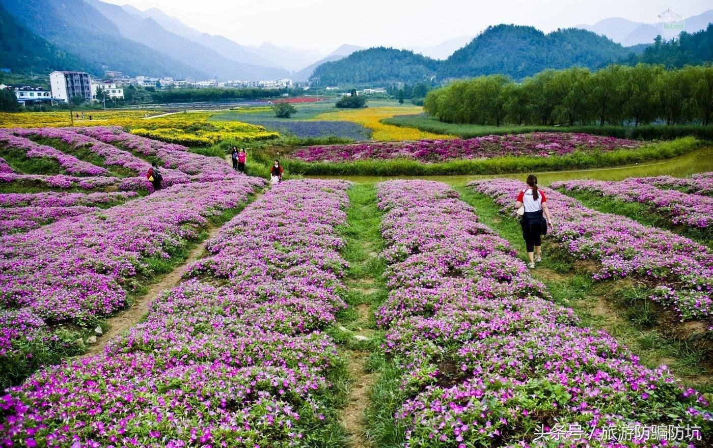 去重慶旅游攻略及費用要多少，重慶旅游攻略及預(yù)算全解析