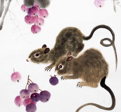 澳門六福生肖鼠開獎(jiǎng)結(jié)果，揭秘彩票背后的神秘面紗，澳門六福生肖鼠開獎(jiǎng)結(jié)果揭秘，彩票背后的神秘面紗展開