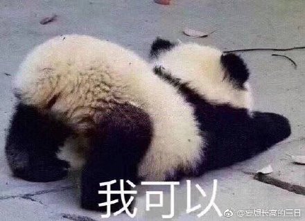 澳門四不像圖片大全——探索神秘的文化融合藝術(shù)，澳門文化融合藝術(shù)探索，四不像圖片大全