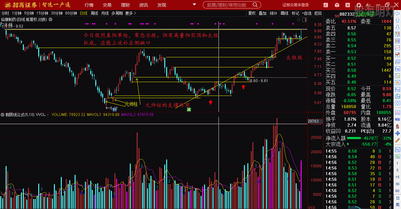 仙琚制藥股票（代碼，002332）深度解析，仙琚制藥股票深度解析（代碼，002332）
