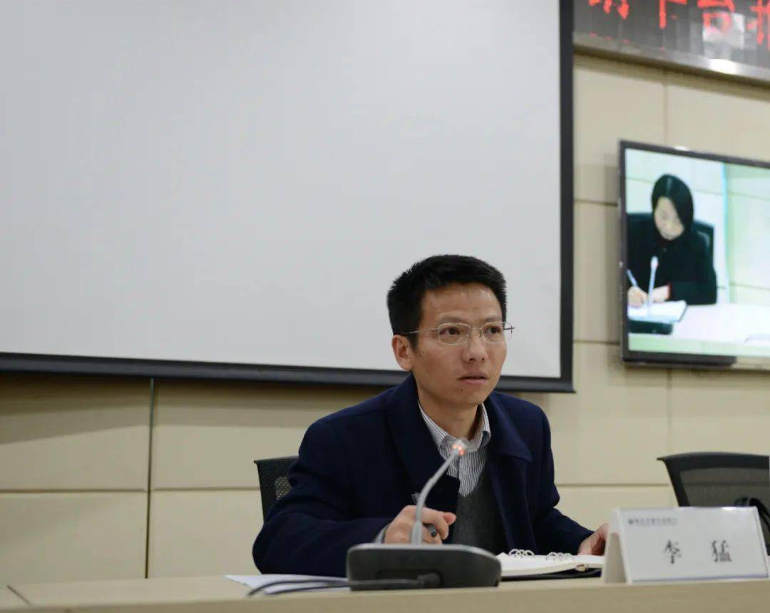 正版王中王一肖平碼圖——深度解析與探索，正版王中王一肖平碼圖深度探索與解析