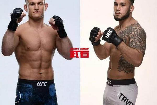 澳門六開獎(jiǎng)結(jié)果記錄圖，探索彩票背后的秘密，澳門六開獎(jiǎng)結(jié)果記錄圖揭秘彩票背后的秘密