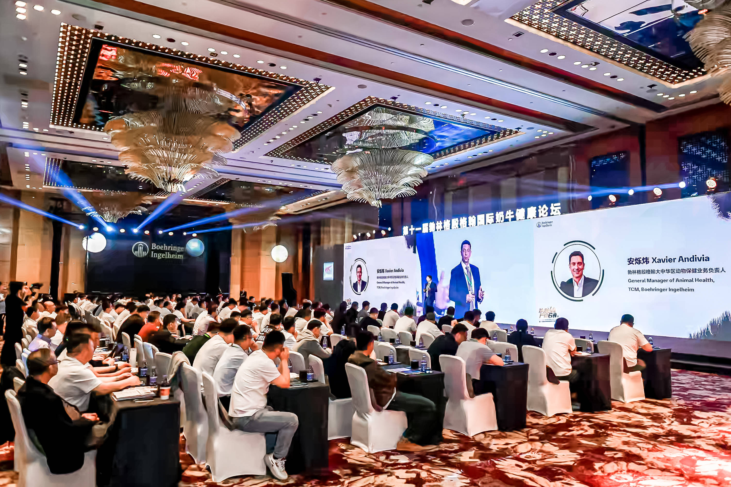 國際論壇，全球交流的舞臺(tái)與機(jī)遇，國際論壇，全球交流的舞臺(tái)與機(jī)遇之門