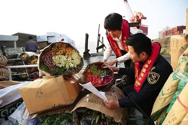 澳門六開獎結(jié)果365期，揭秘彩票背后的秘密與策略分析，澳門六開獎結(jié)果揭秘與策略分析，彩票背后的秘密與策略解讀第365期