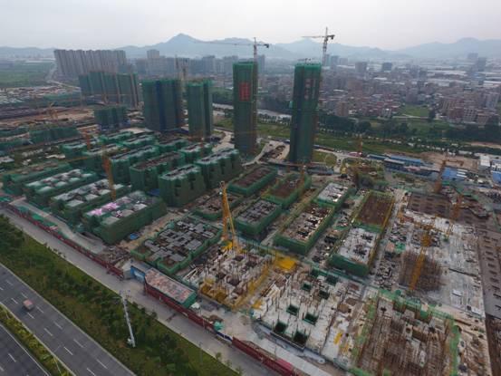 香港最準一肖中特，揭秘13769cm王中王的精準資料，揭秘香港最準一肖中特，精準資料揭秘13769cm王中王預(yù)測之道