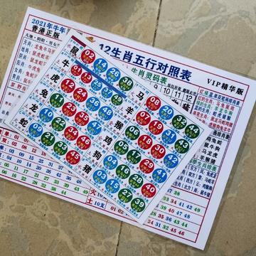 探索神秘的生肖之謎，揭秘肖十二碼中的生肖奧秘，揭秘生肖之謎，探索神秘的肖十二碼奧秘