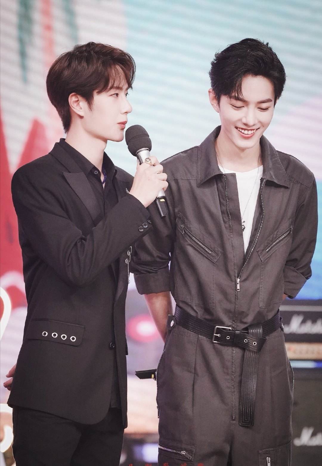 王中王一肖資料詳解，王中王一肖資料大全解析