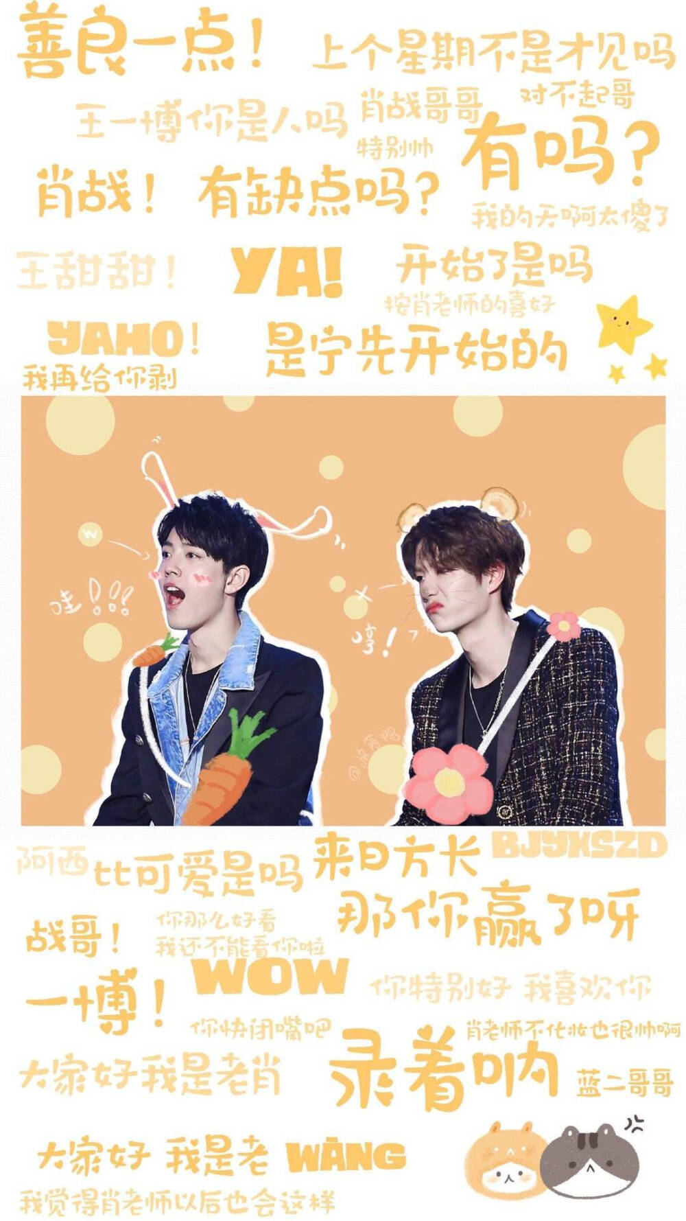 王中王一肖內(nèi)部資料詳解，王中王一肖內(nèi)部資料深度解析