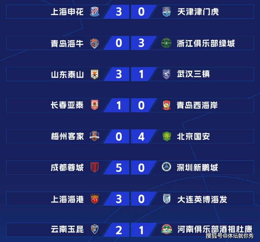 2025新澳正版資料精準(zhǔn)解析，2025新澳正版資料精準(zhǔn)解析手冊(cè)