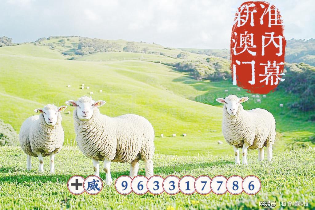 澳門六合圖庫(kù)資料大全——探索澳門博彩文化的深度與廣度，澳門六合圖庫(kù)資料大全，深度探索澳門博彩文化